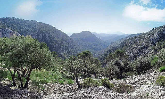 Scenic view of a mountainous valley with green trees and rocky terrain under a partly cloudy sky.
