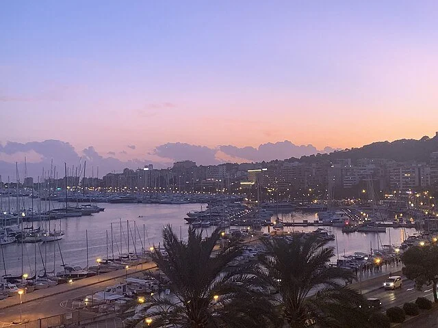 Sunset over a marina with numerous sailboats docked, surrounded by city buildings on a hillside, with palm trees in the foreground.
