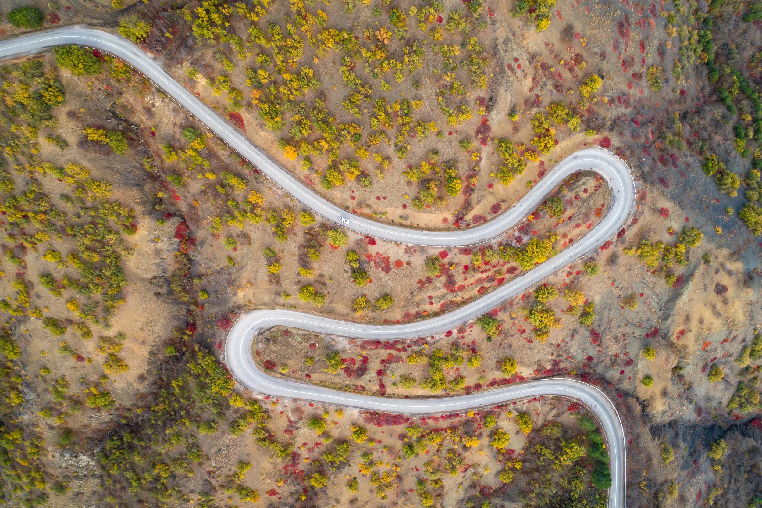 An aerial view of a winding mountain road through yellow and green trees and dry landscape.