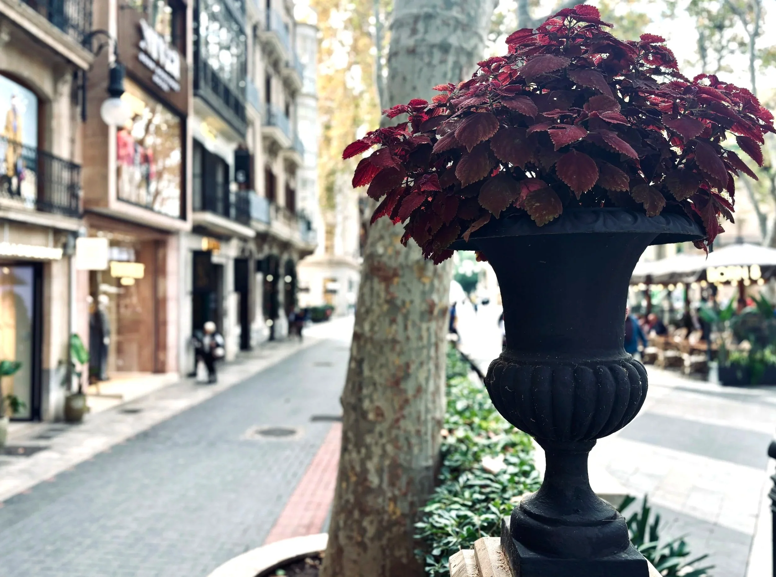 A black ornate balcony planter filled with red flowering plants on a city street with shops, trees, and people in the background.