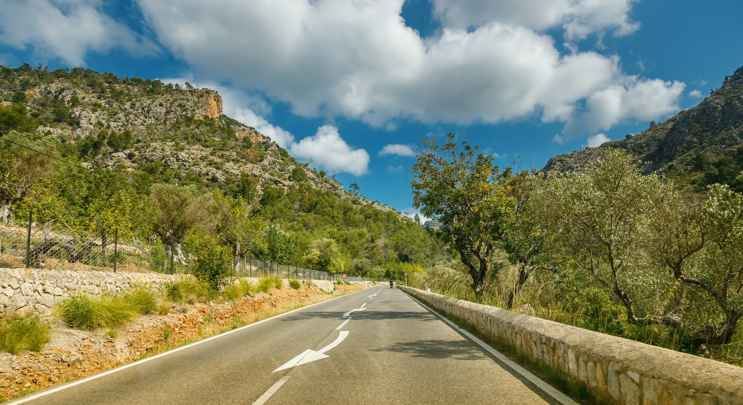 Curving mountain road with trees on both sides, stone wall on the right, and a blue sky with white clouds overhead.