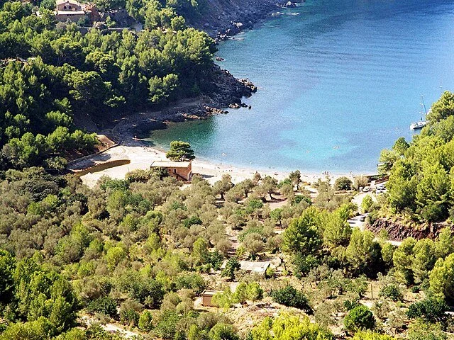 Aerial view of a beach with clear blue water, surrounded by lush green trees and a few small buildings.