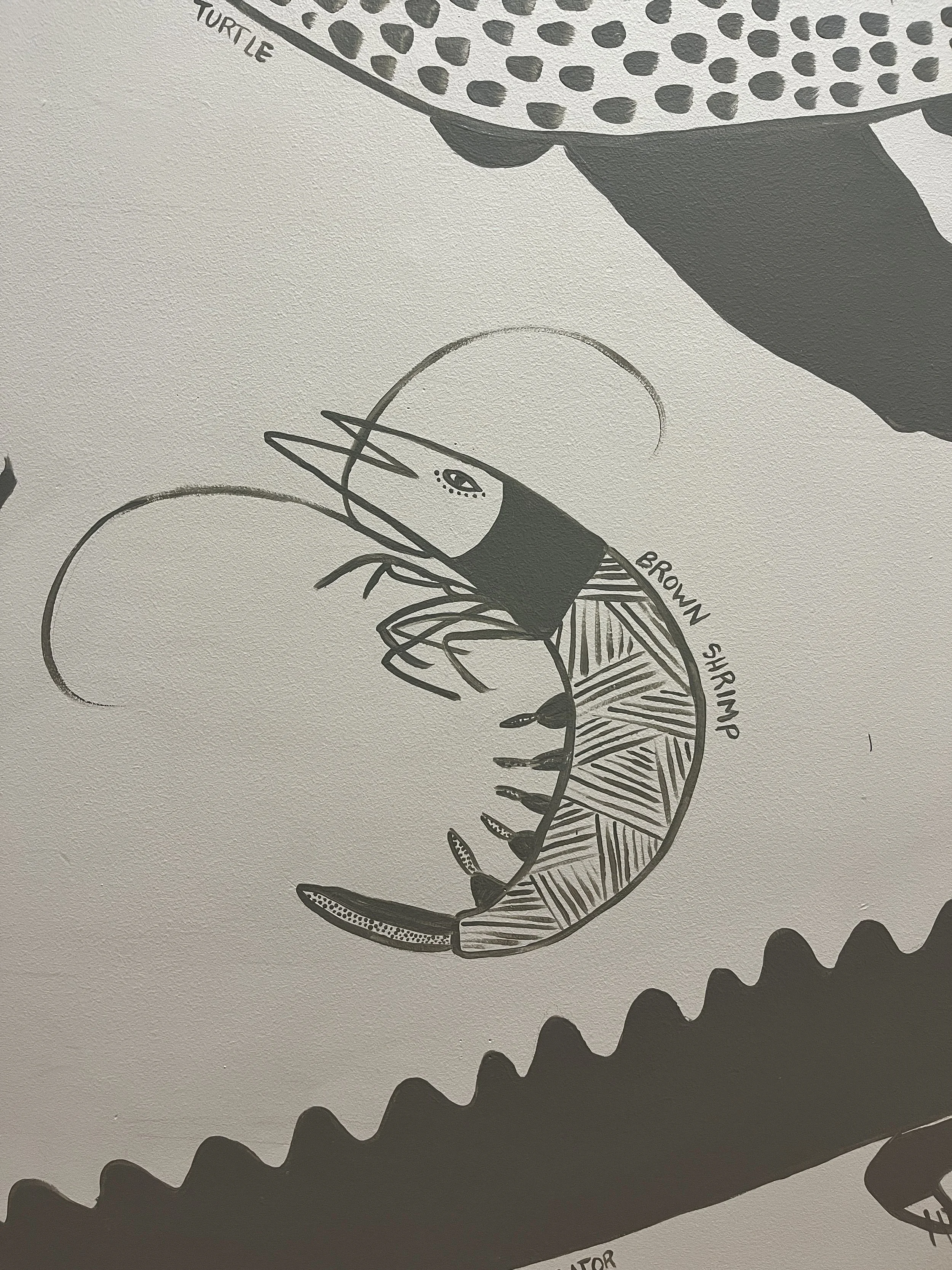 Sundrops Montessori, Mt Pleasant, SC. 2025