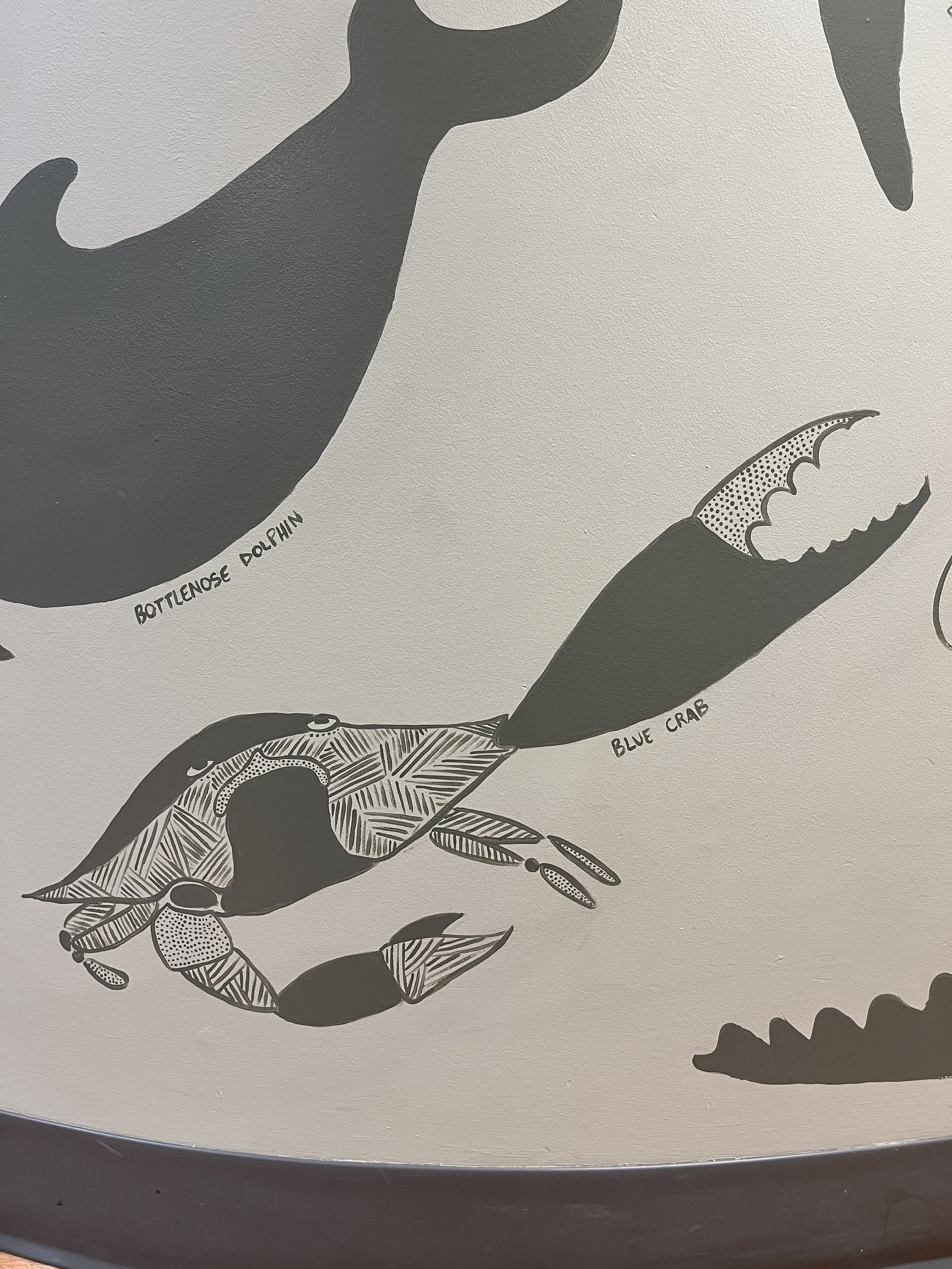 Sundrops Montessori, Mt. Pleasant, SC. 2025