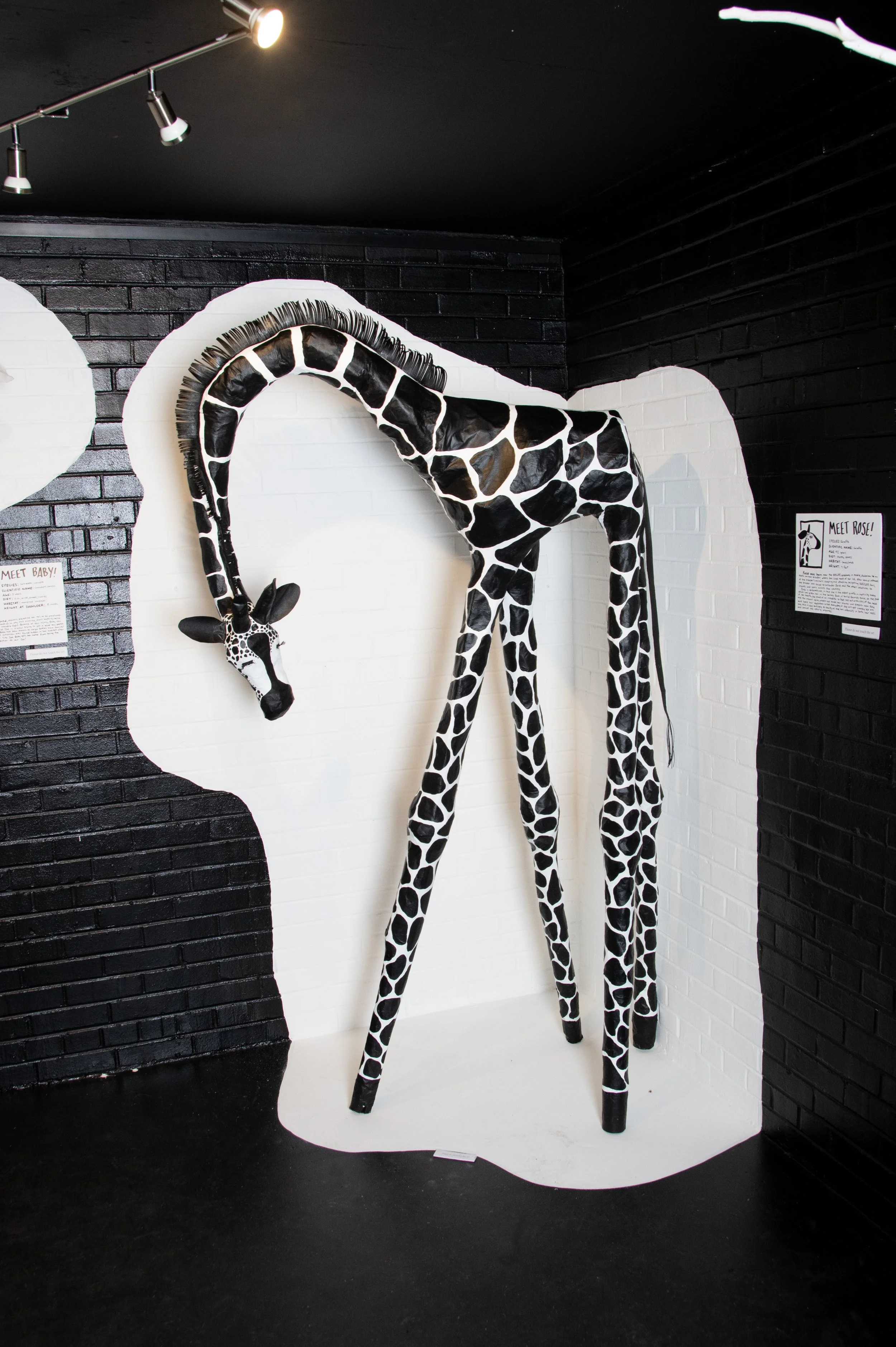 Rose, paper maché and acrylic paint. 42"x77"x11".