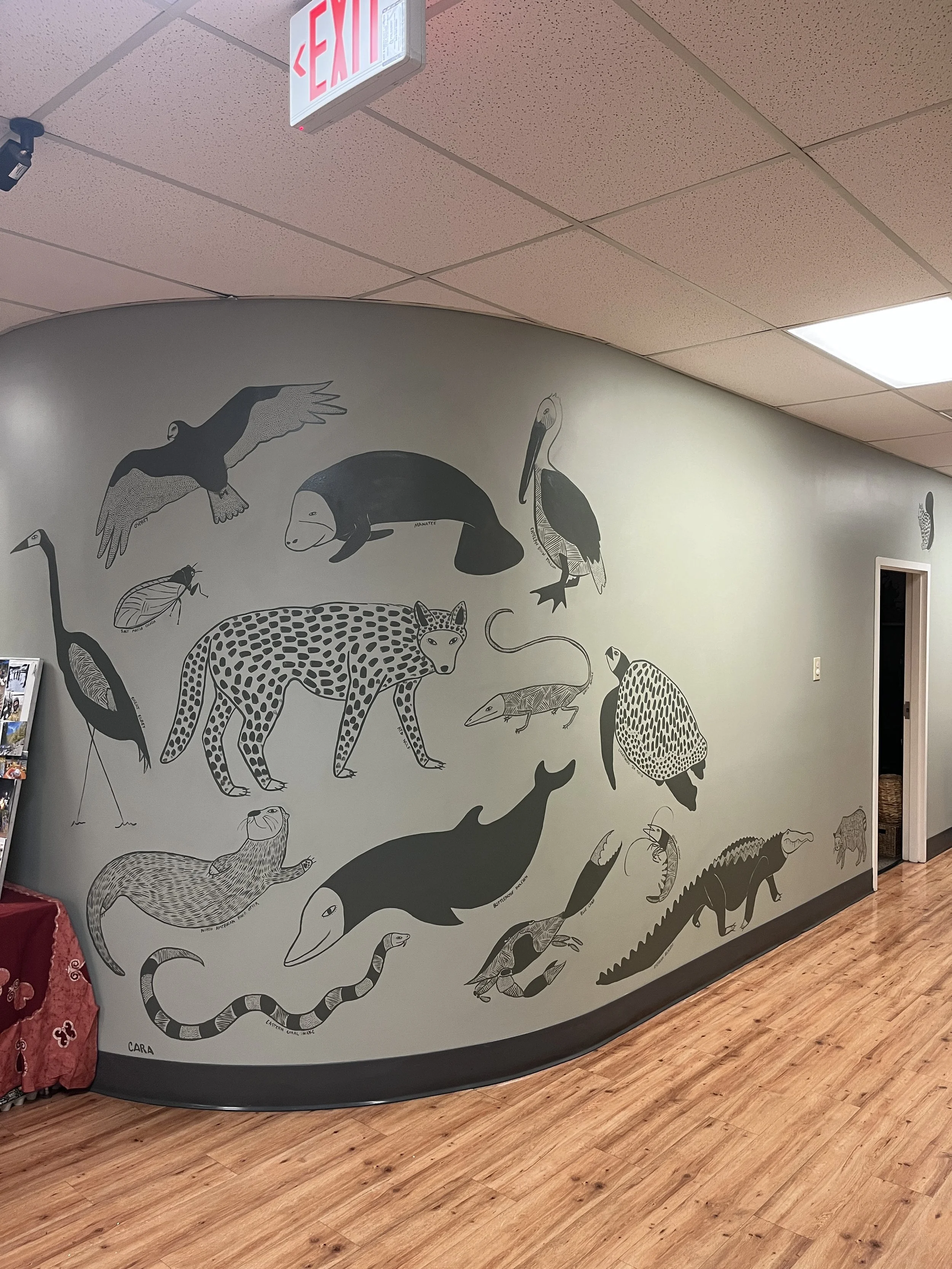 Sundrops Montessori, Mt Pleasant, SC. 2025