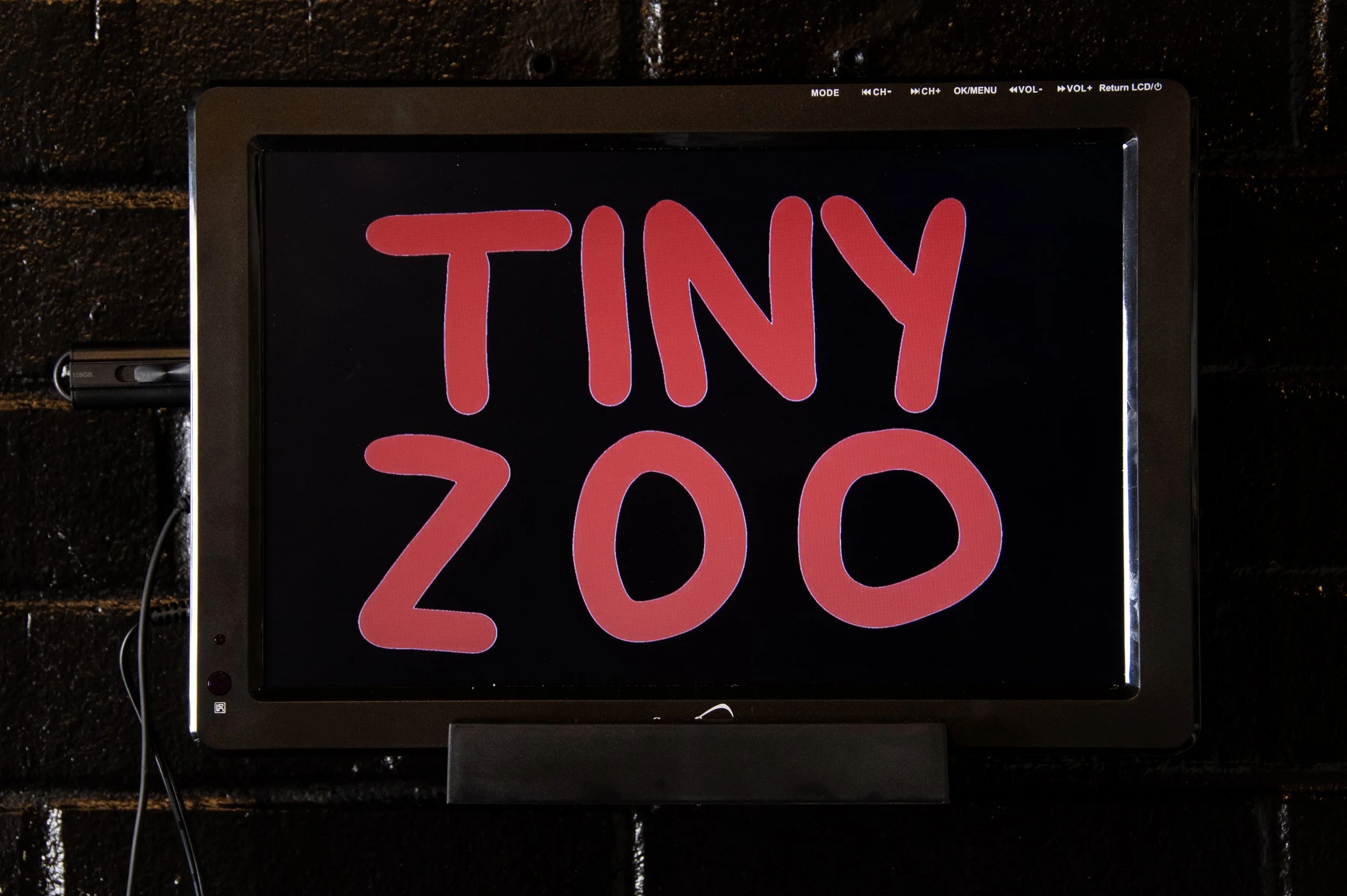 Tiny Zoo Animation, 1:19.