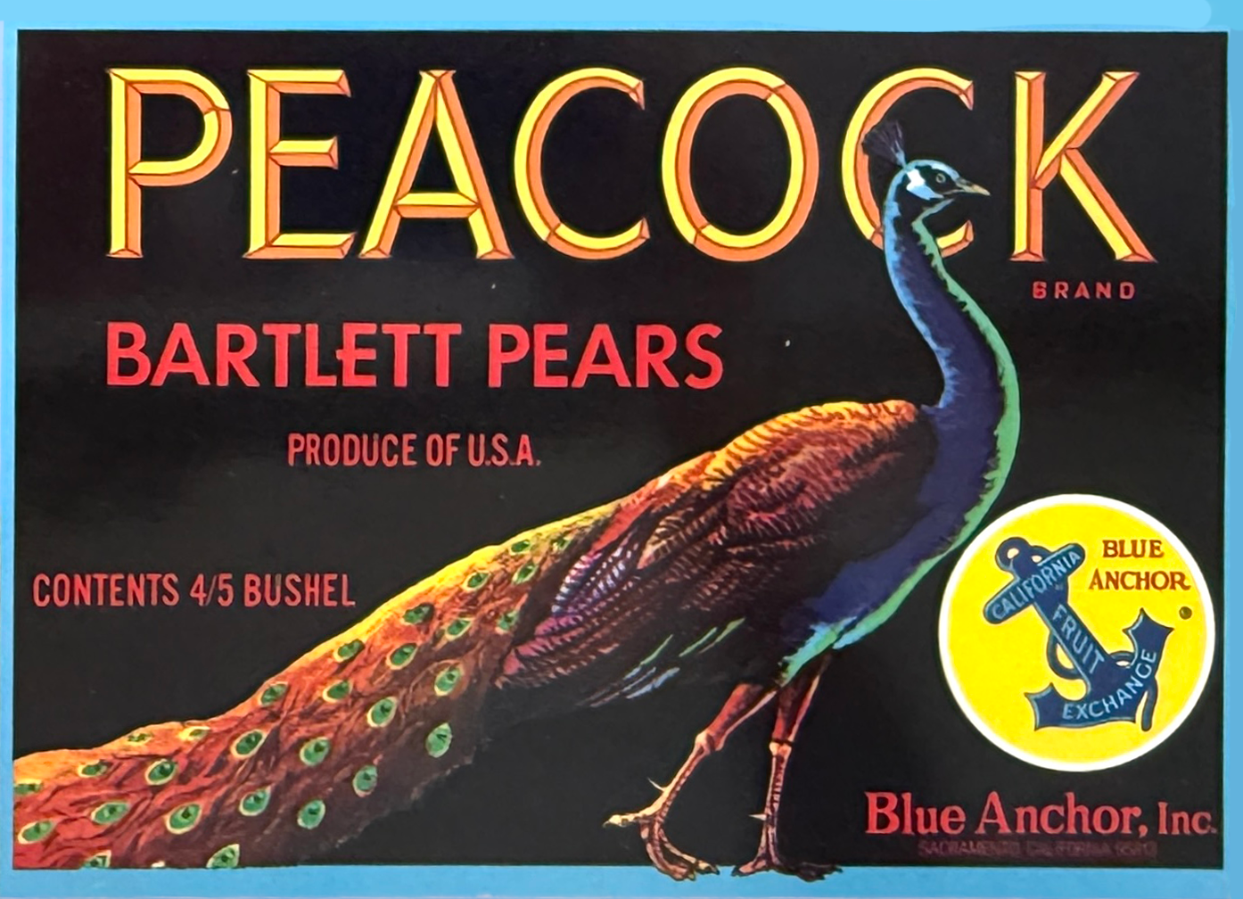 Vintage peacock advertising label for Bartlett Pears by Blue Anchor, Inc., featuring a colorful illustrated peacock with a prominent tail and a yellow circle logo with an anchor, and text indicating the product as U.S. produce, 4-5 bushel contents.
