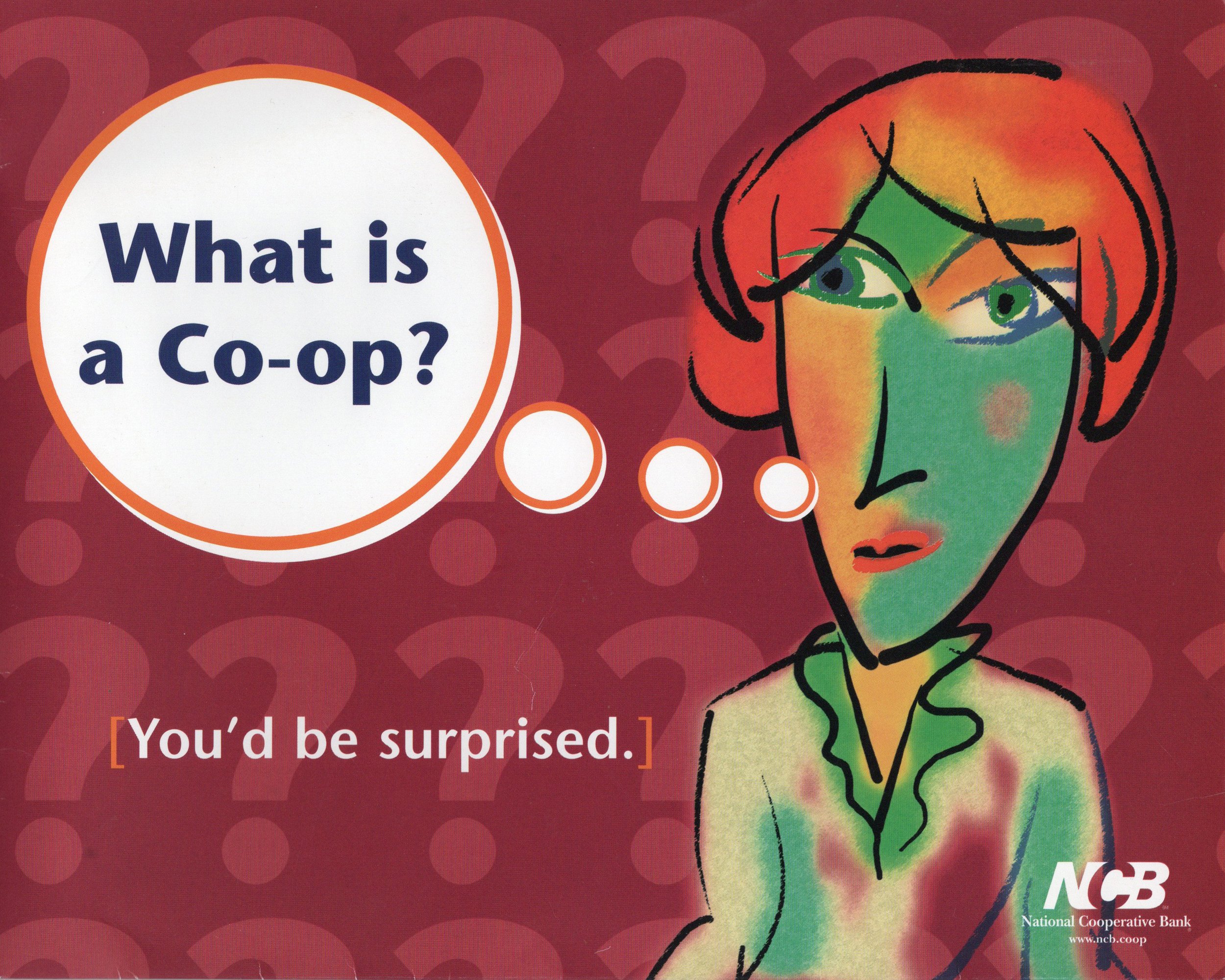 A colorful illustrated woman with red hair, green face, and a puzzled expression. A speech bubble asks, 'What is a Co-op?' with the reply, '[You'd be surprised.]' in text at the bottom. The logo of the National Cooperative Bank (NCB) is in the lower 