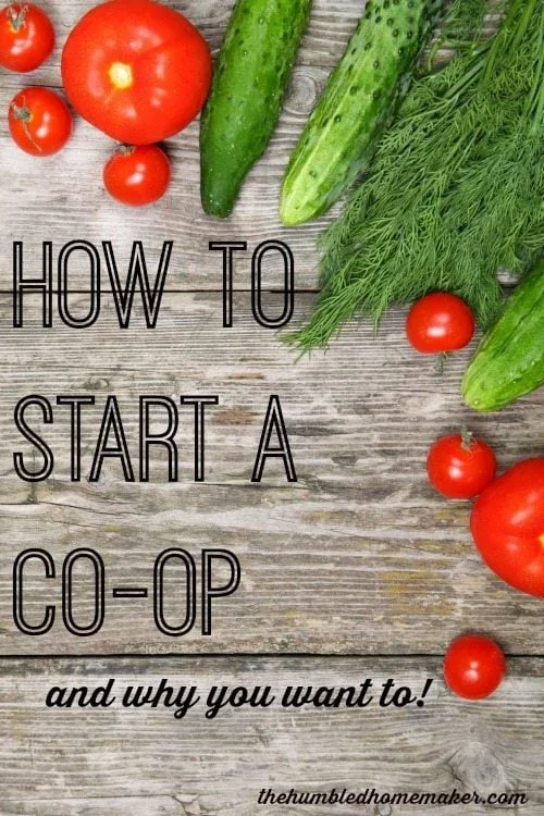 how-to-start-a-co-op-vertical-title.webp
