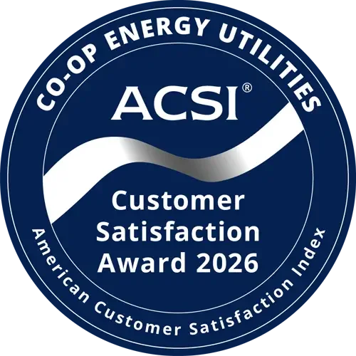 2026-Customer-Satisfaction-Award-Badge-copy.webp