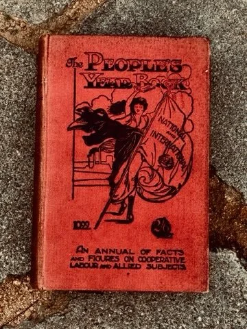 Red hardcover book titled 'The People's View Book' with a drawing of a woman holding a scale and a sword, surrounded by the words 'National Inter' and other text, placed on asphalt ground.