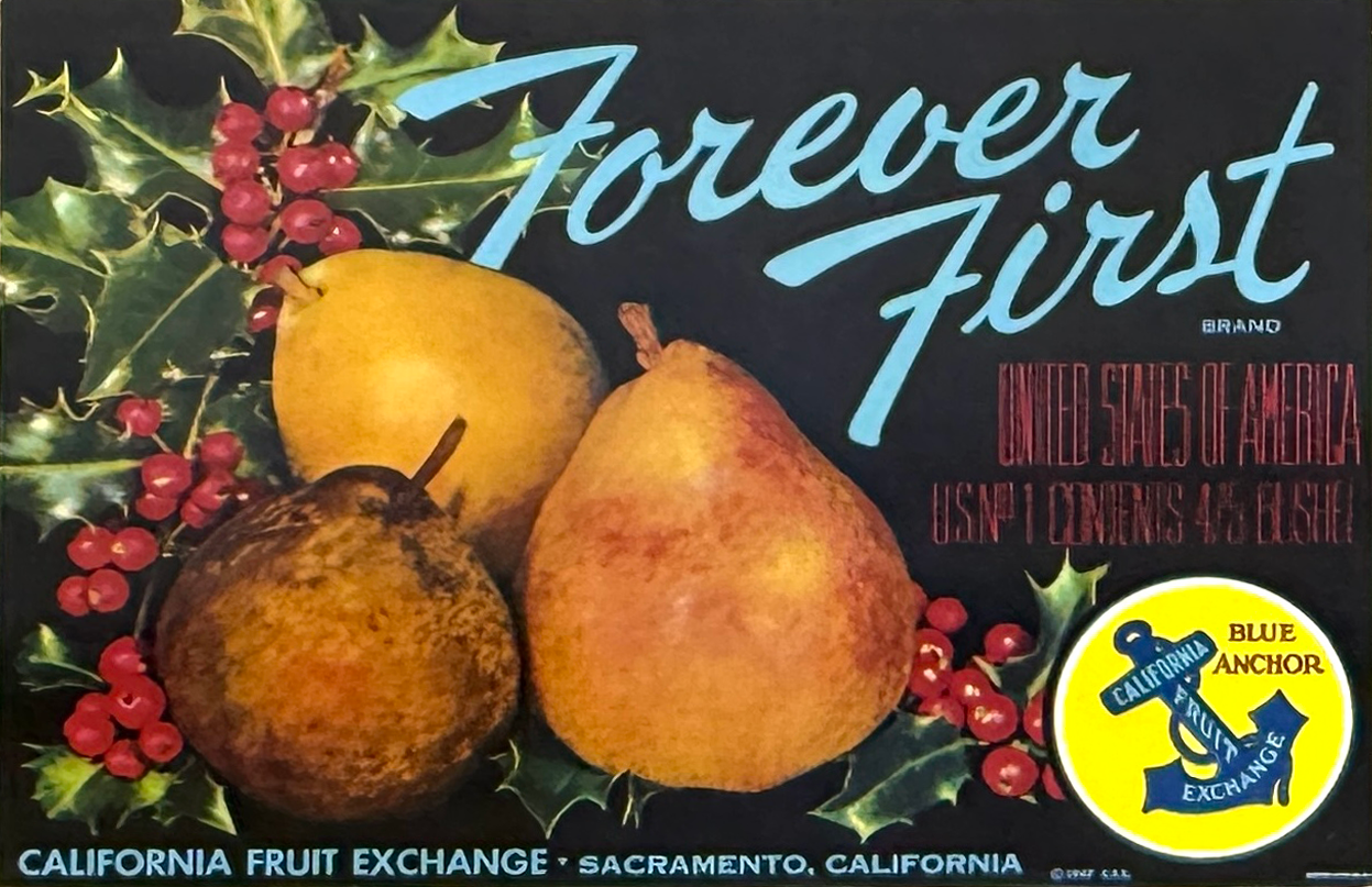 co-op coop  fruit Box  label of assorted pears with holly leaves and red berries, and the text "Forever First" in blue, and additional text about the California Fruit Exchange.