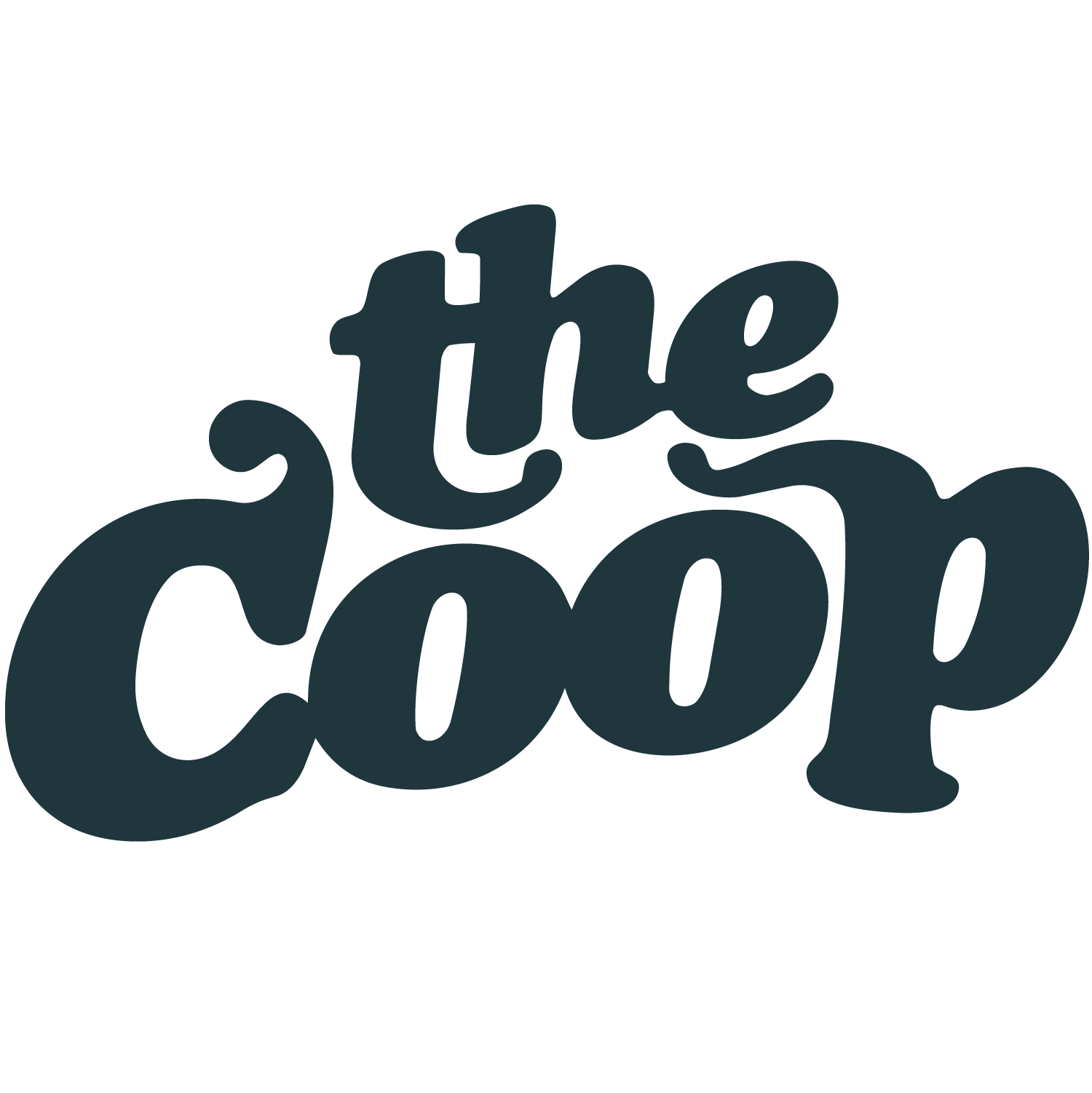 The phrase 'the scoop' written in playful, bold, dark blue font against a transparent background.