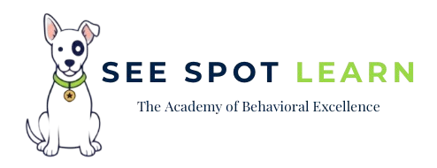 See Spot Learn