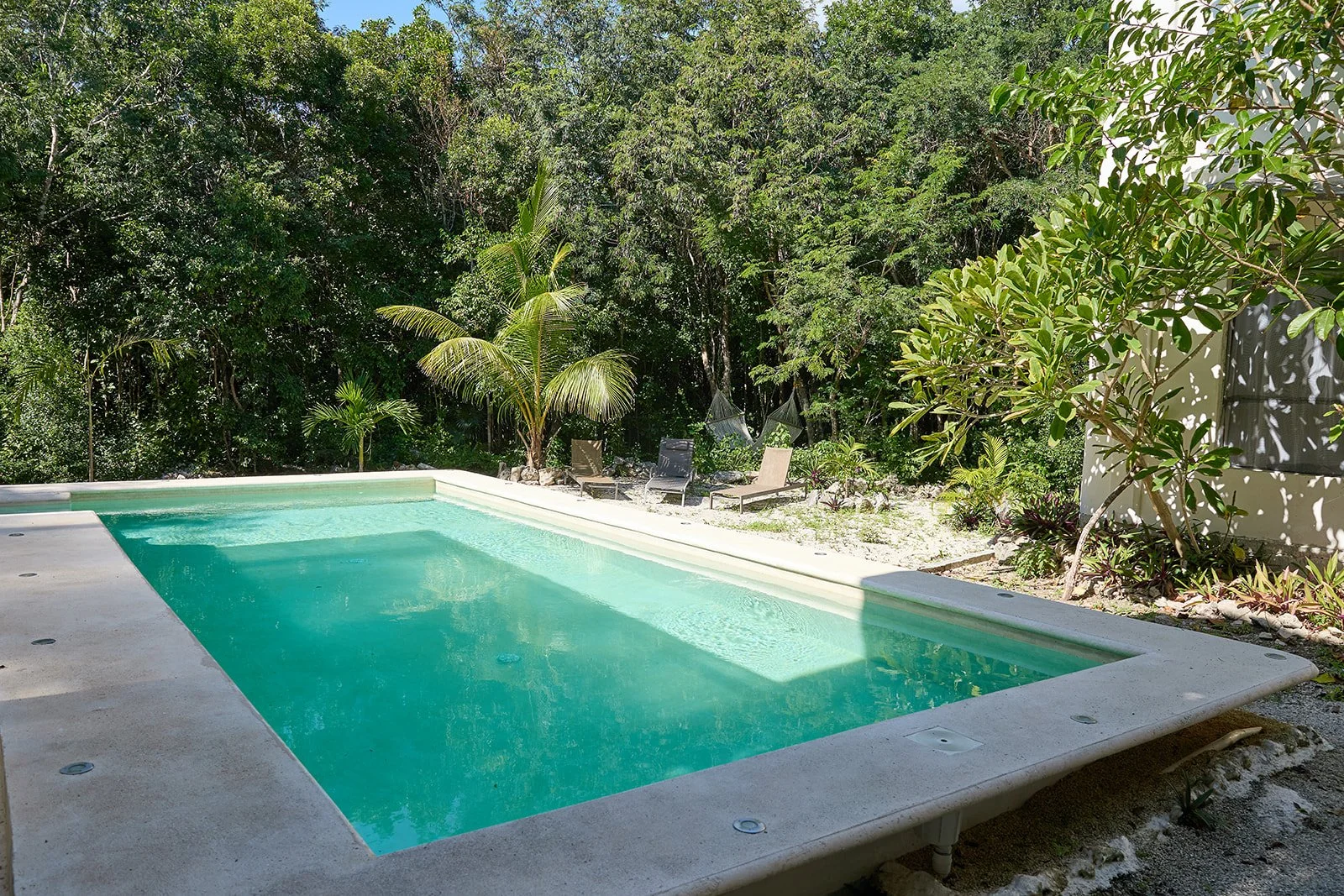 Swimming pool with surrounding lounge chairs and tropical plants in a backyard, shaded by trees.