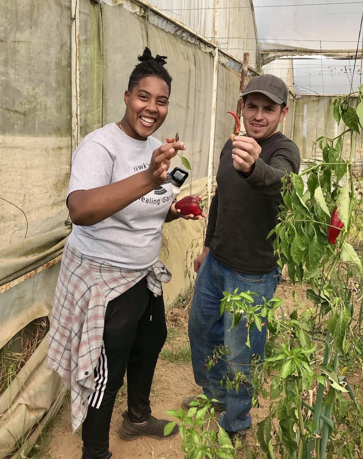 Two people in a greenhouse holding peppers and a bell pepper, smiling. The woman has her hair in a ponytail, wears a gray T-shirt, black pants, and a plaid shirt tied around her waist. The man wears a dark long-sleeve shirt, jeans, and a cap, next to
