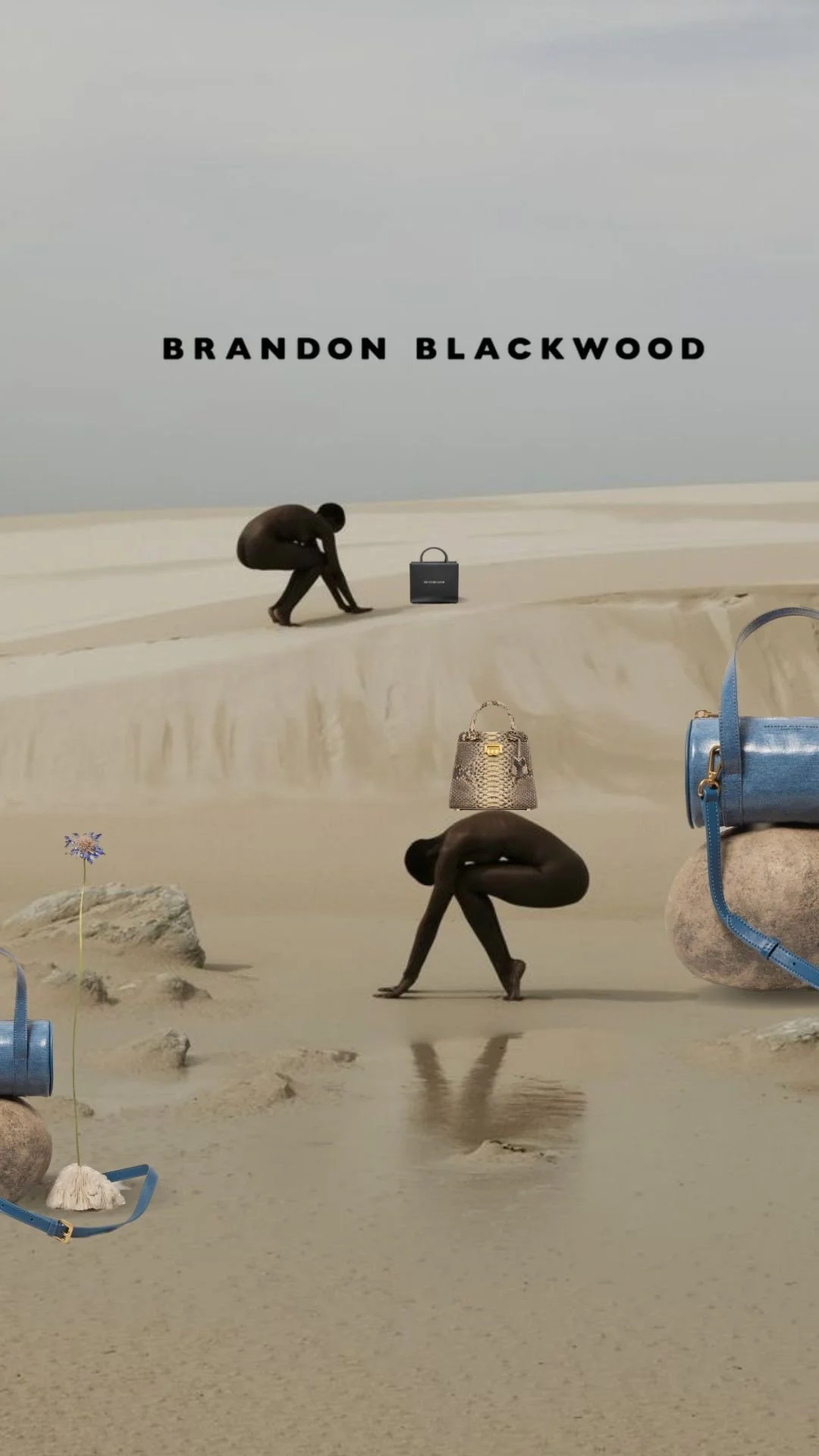 Book cover with surreal desert scene, two naked figures in crouching positions, surrounded by handbags, a rock, and a flower, under a cloudy sky with the title 'Brandon Blackwood' above.