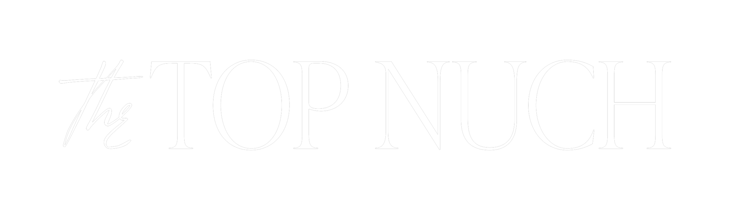 Text in white that reads "The Top Niche" on a black background.