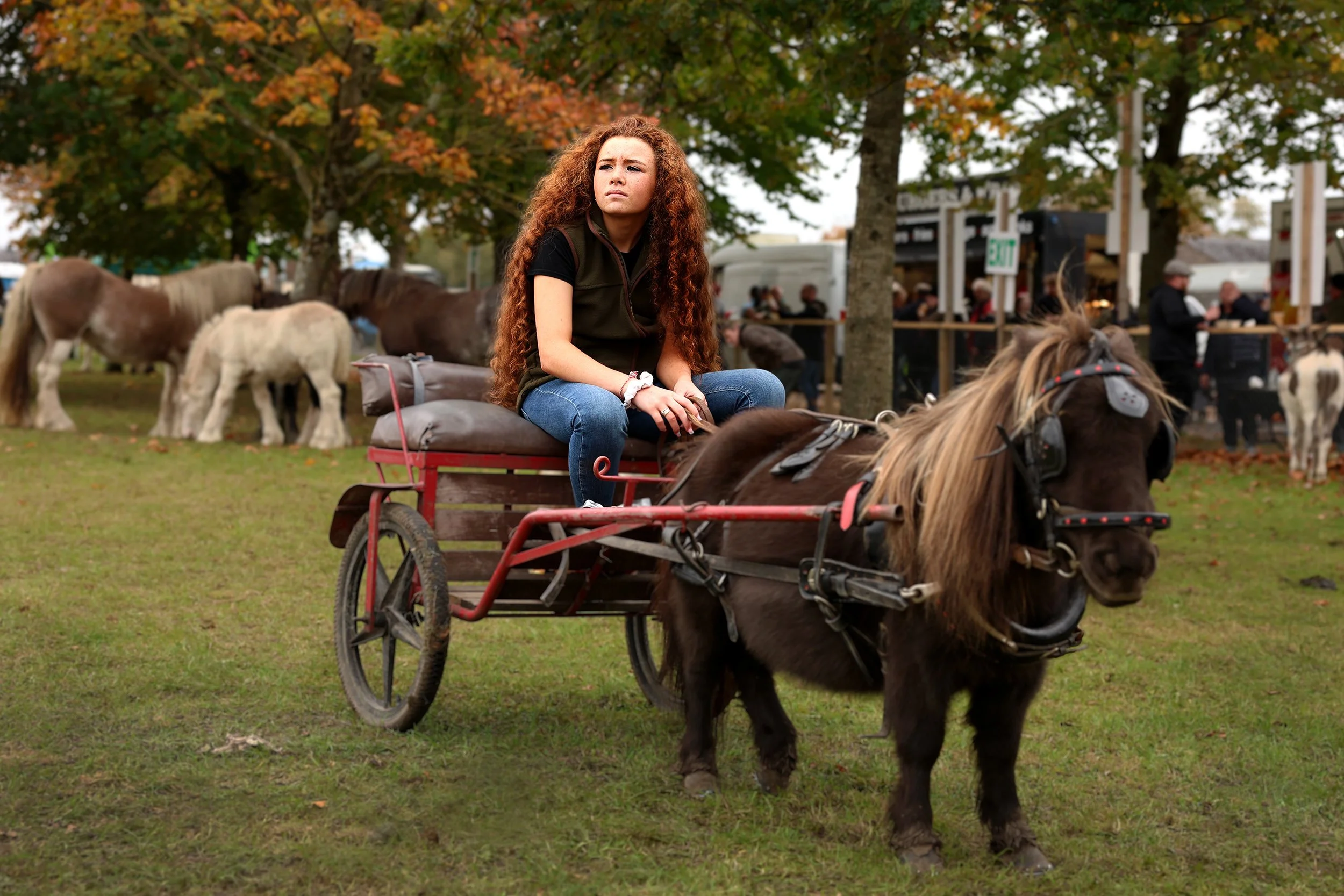 Ballinasloe Fair, Galway