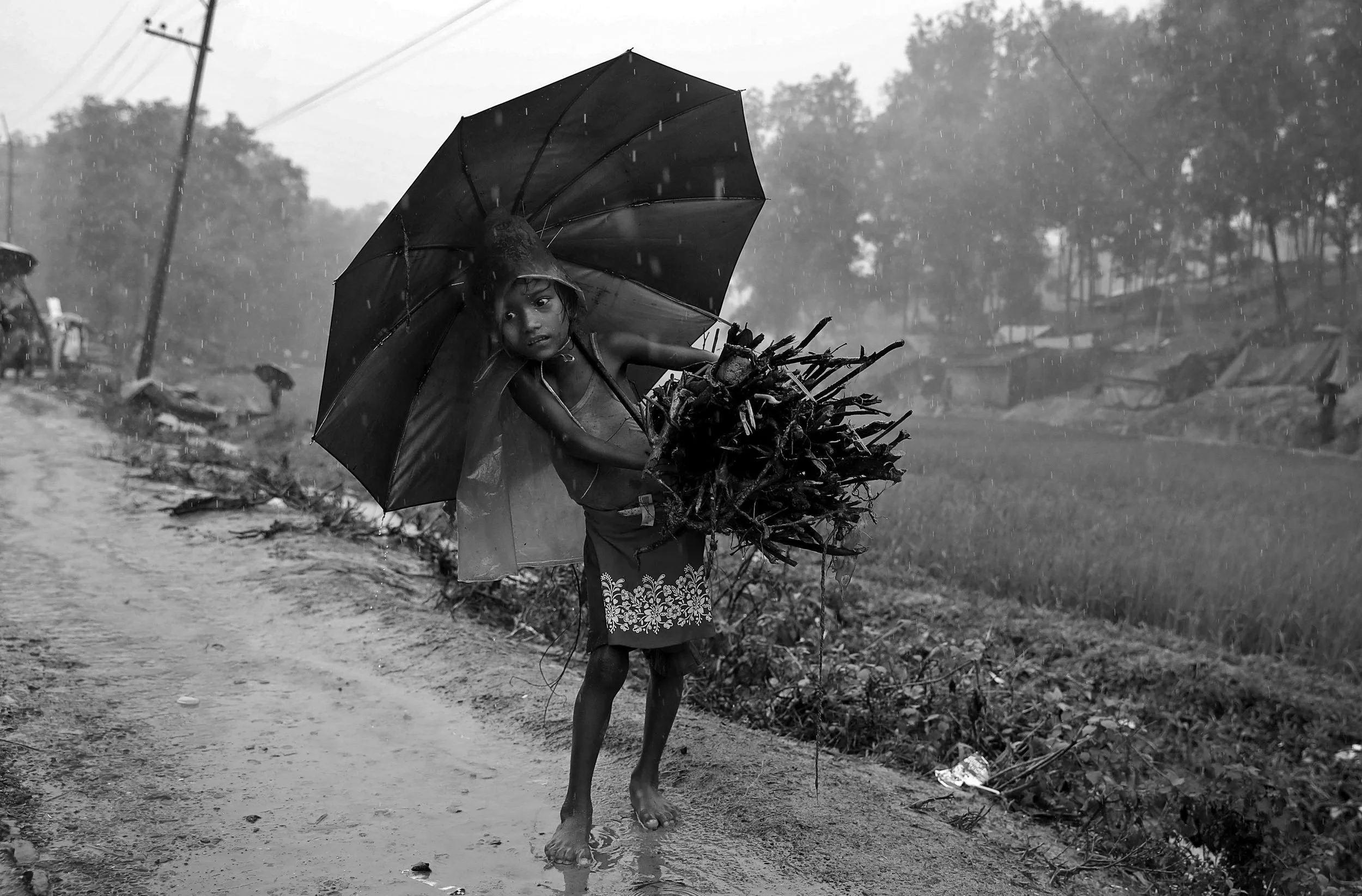 Displaced boy collects firewood, Bangladesh.