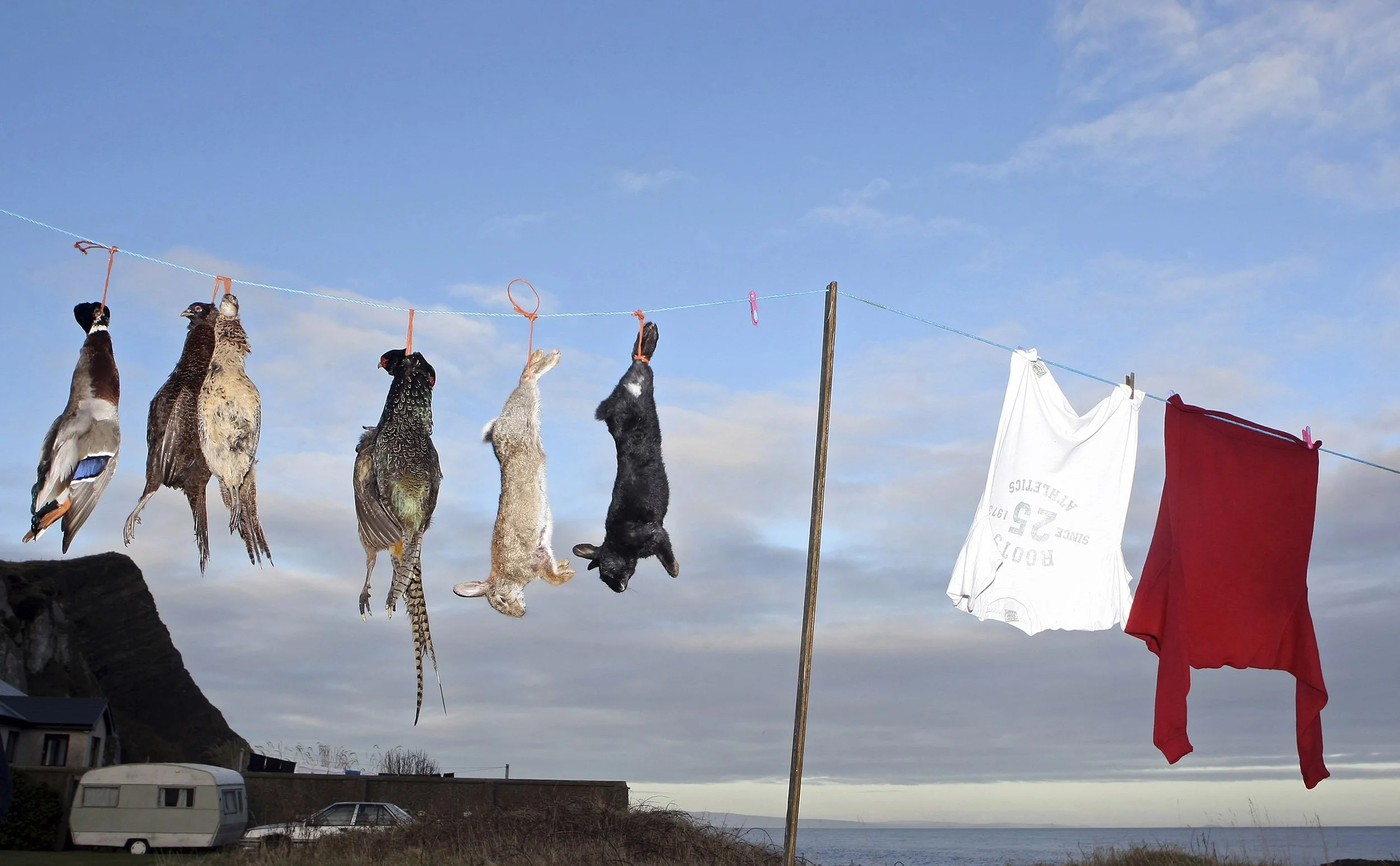 Game on clothes line, Garron Point.