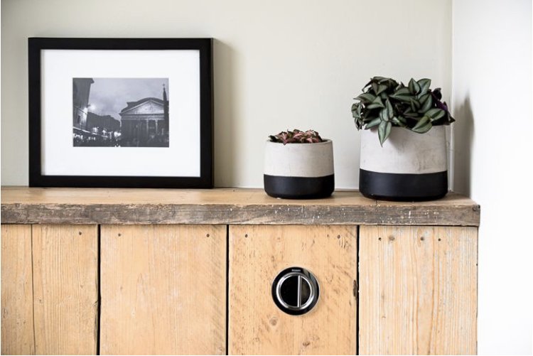 Decorative wooden sideboard with a black and white framed photograph and two potted succulents on top.