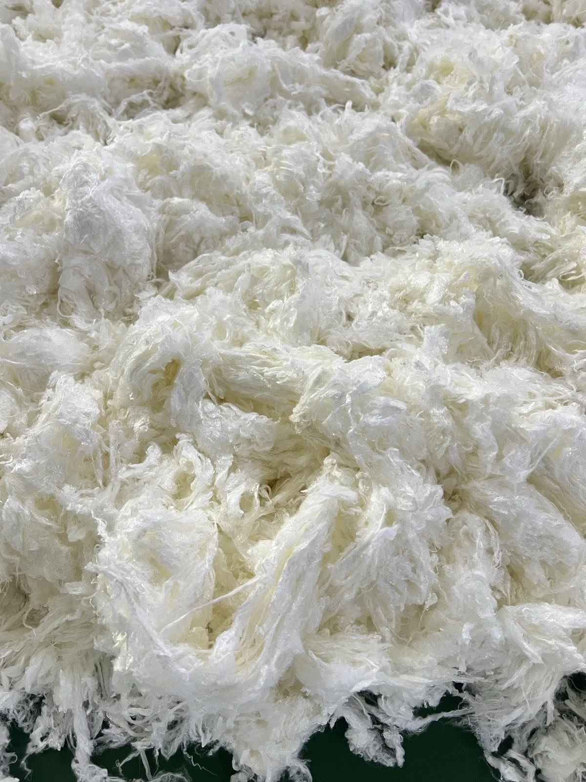 The Hands Behind Your Clothes | Learn More