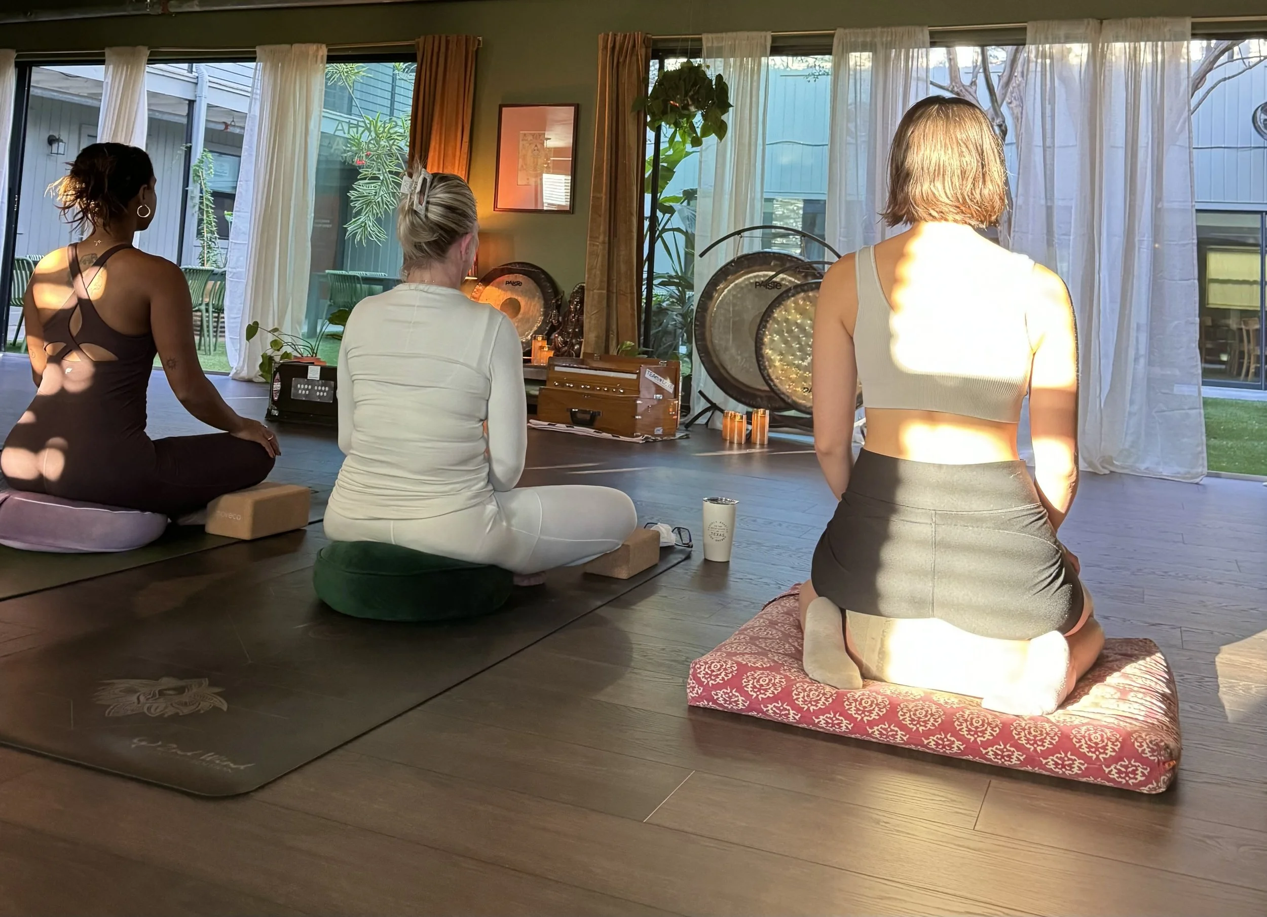 A group of meditation practitioners sitting peacefully in a serene room with large windows showing a sunlit courtyard full of plants