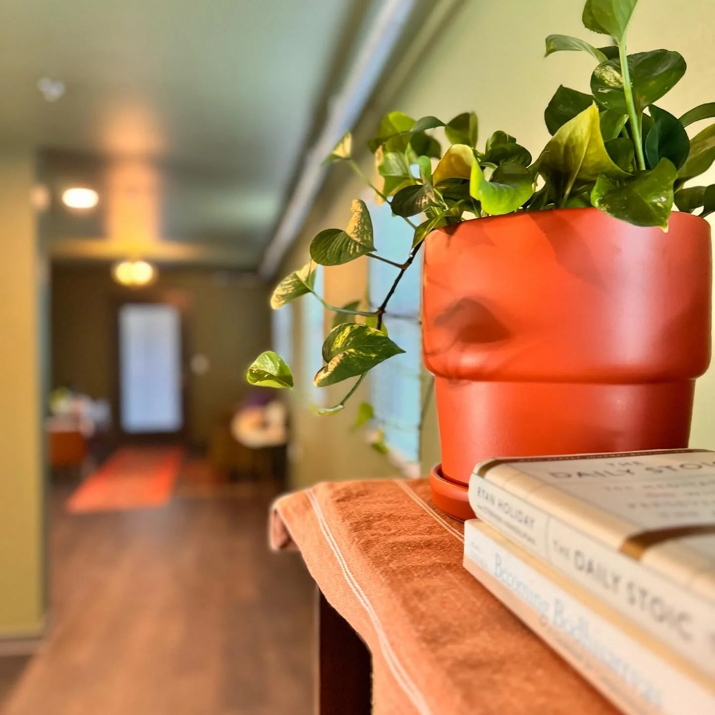 Sukha Yoga Austin interior image with trailing plants and meditation books
