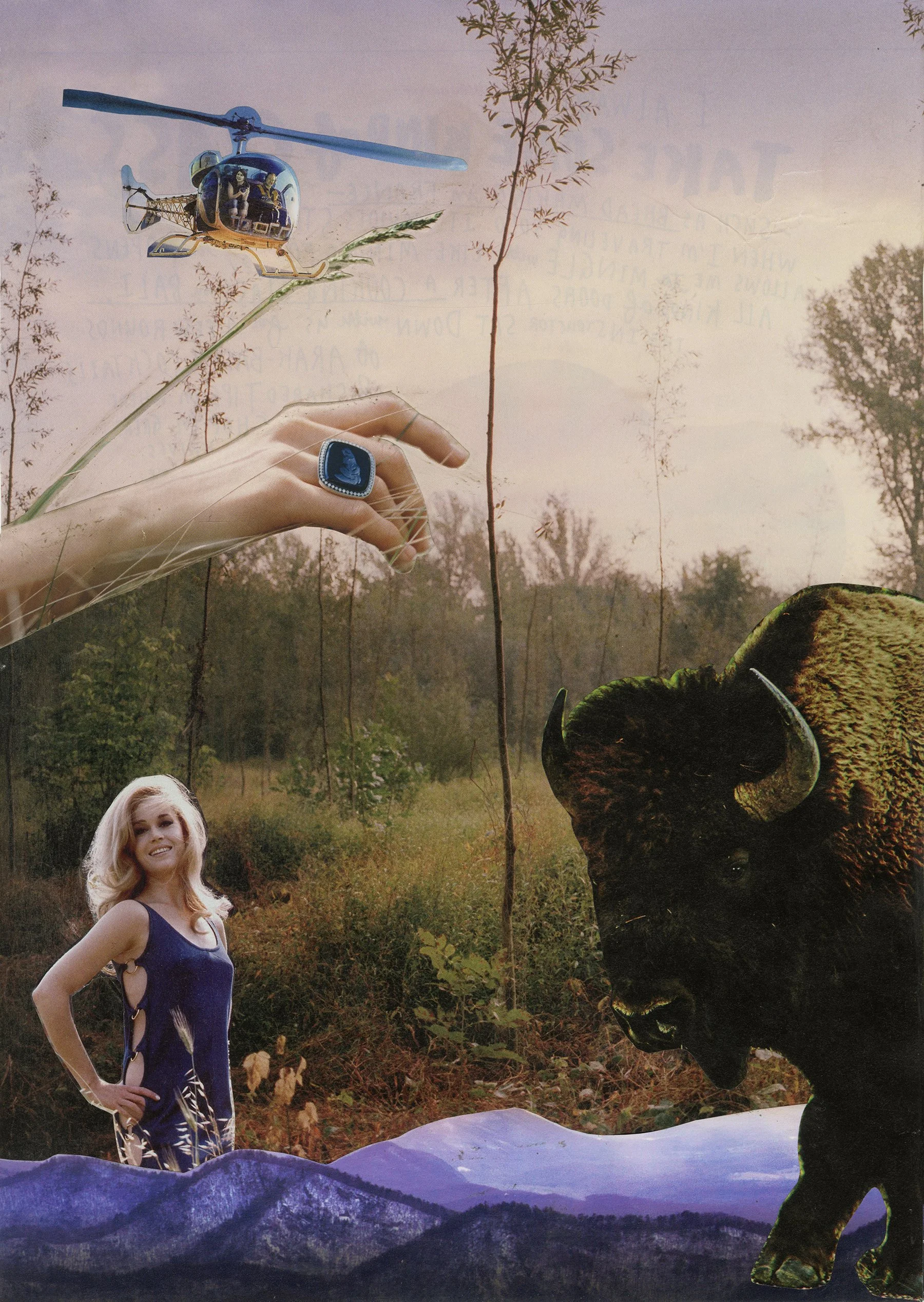 Bison-small.jpg