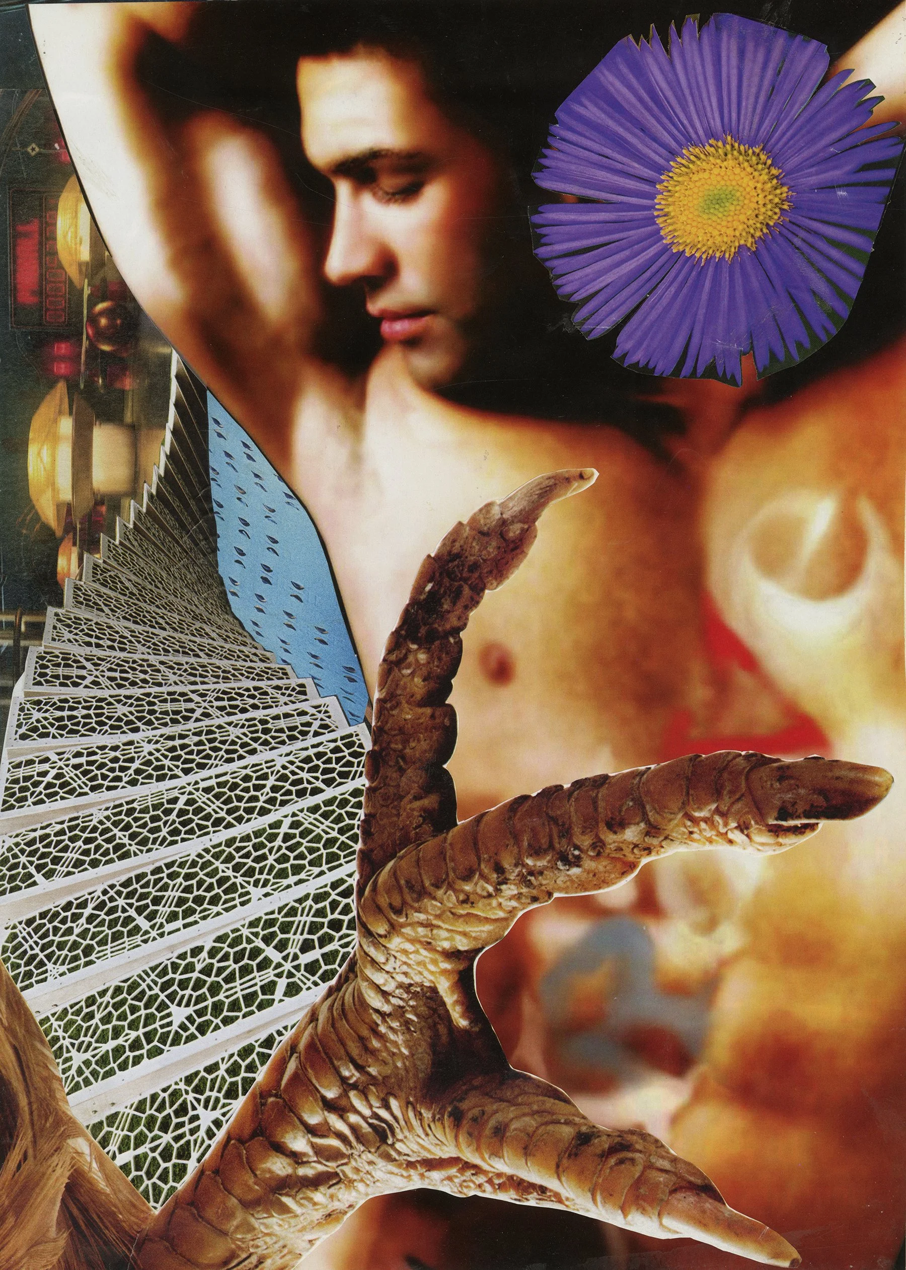 Collage featuring a shirtless man with focused expression, a purple flower, a large bird claw, a staircase with intricate patterns, and a blurred face in the background.