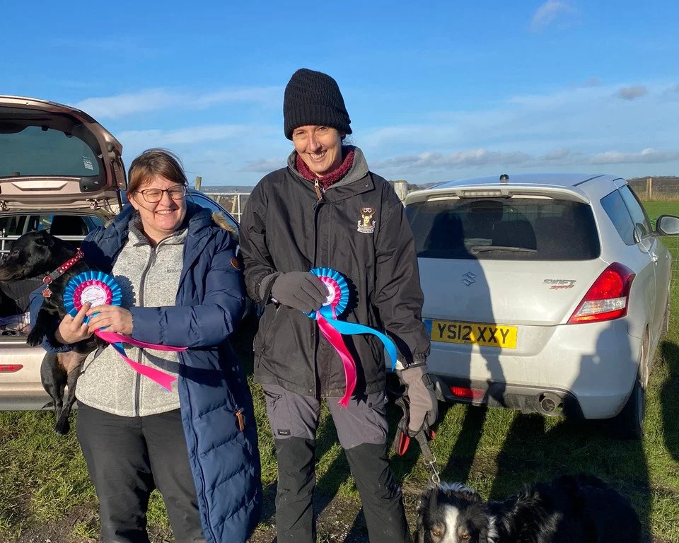 Some Of Our Client Reviews