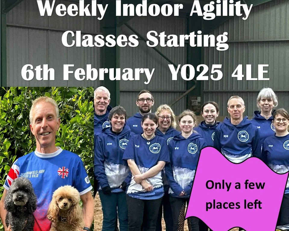 Dog Agility Training Places Available from February 2025