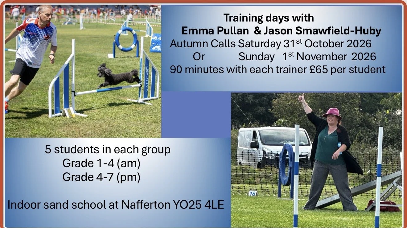Two trainers are back for an Autumn dog agility workshop