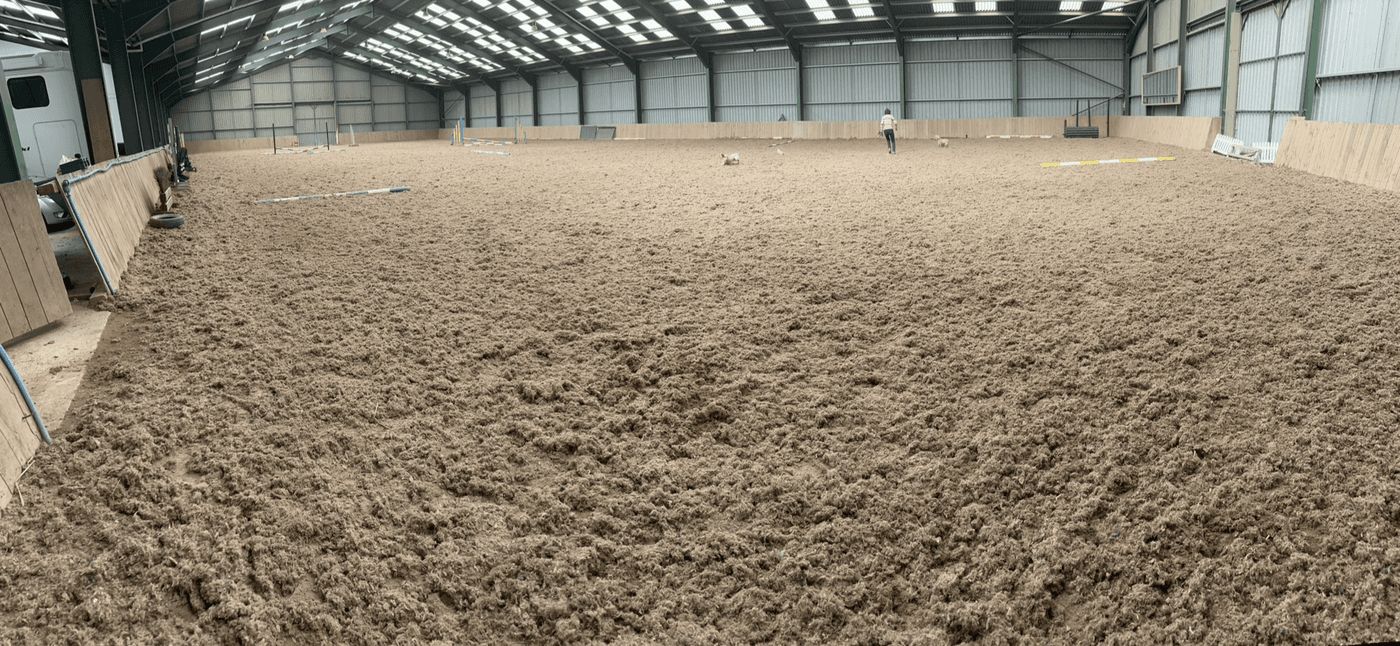 Fantastic Indoor Venue for Autumn / Winter Dog Agility Training