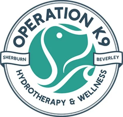 Operation K9 hydrotherapy Beverley