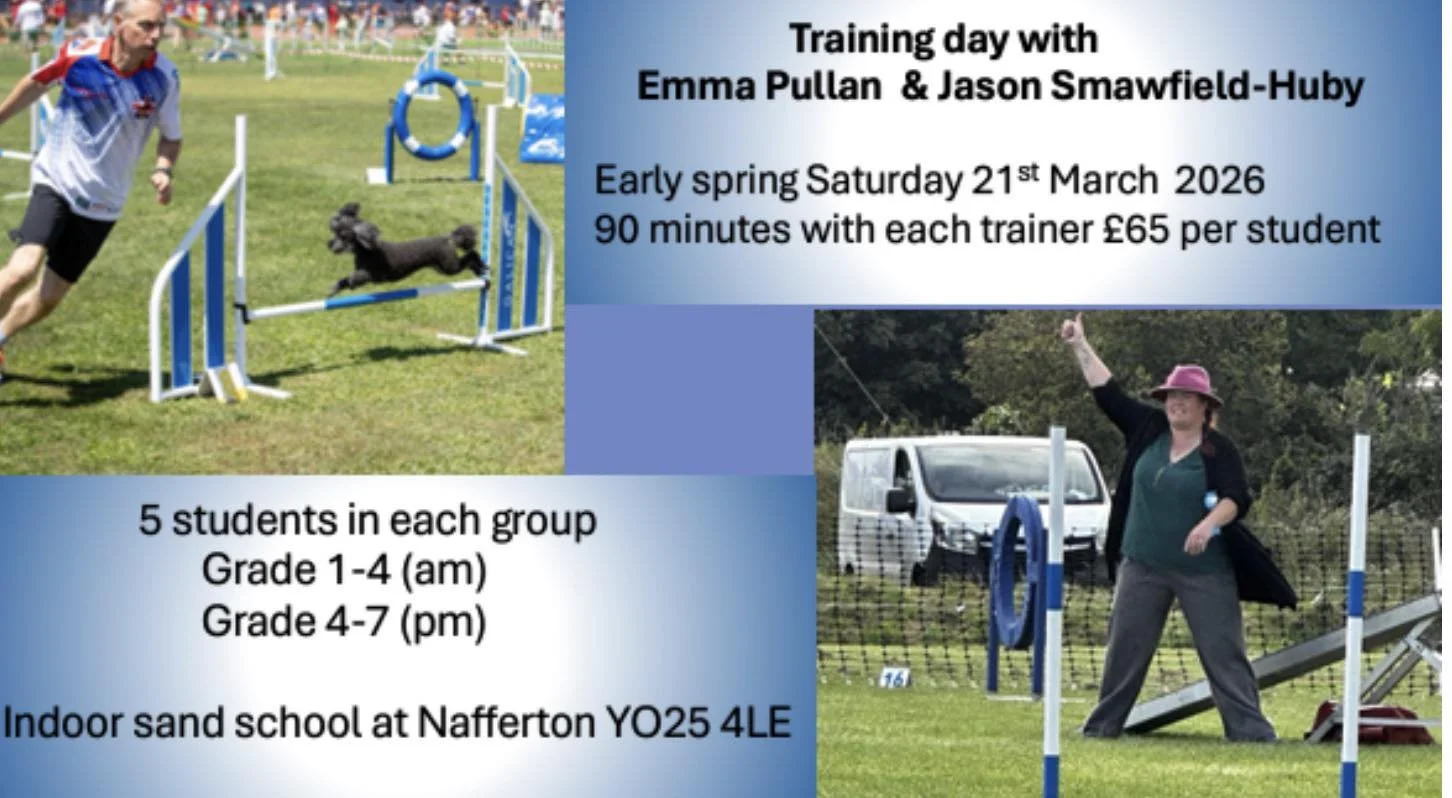 Dog Agility Training Workshops In East Yorkshire