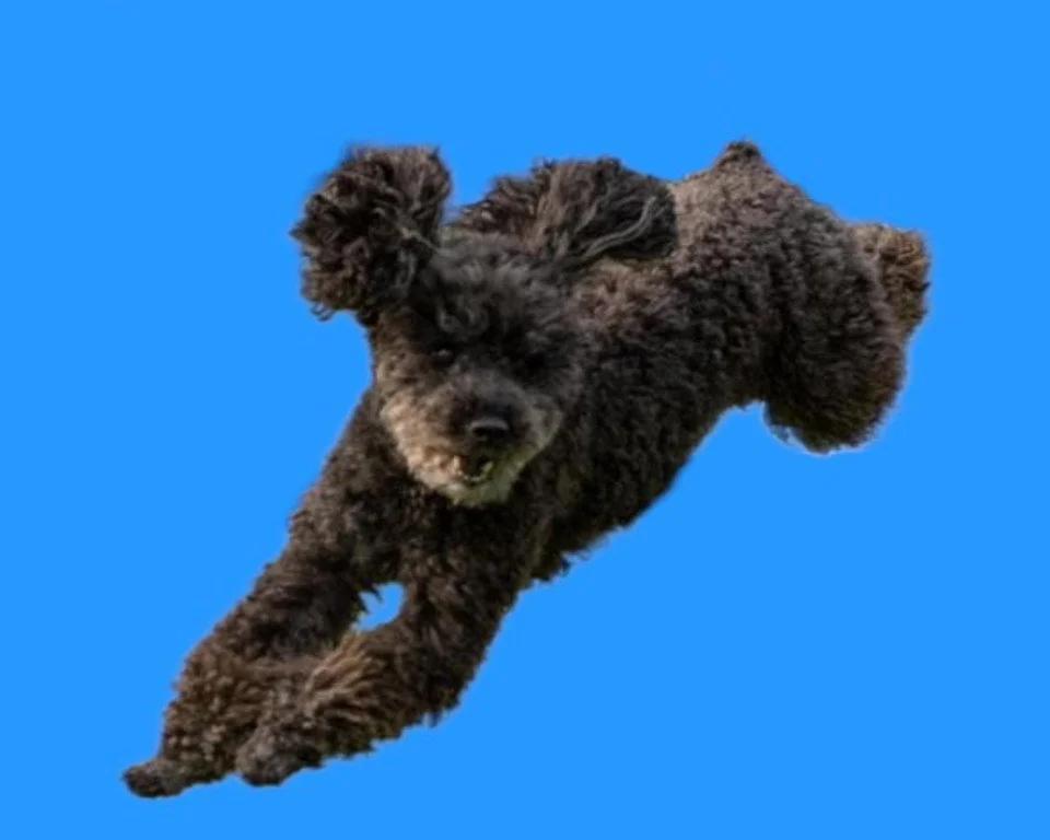 November &amp; December Indoor Availability