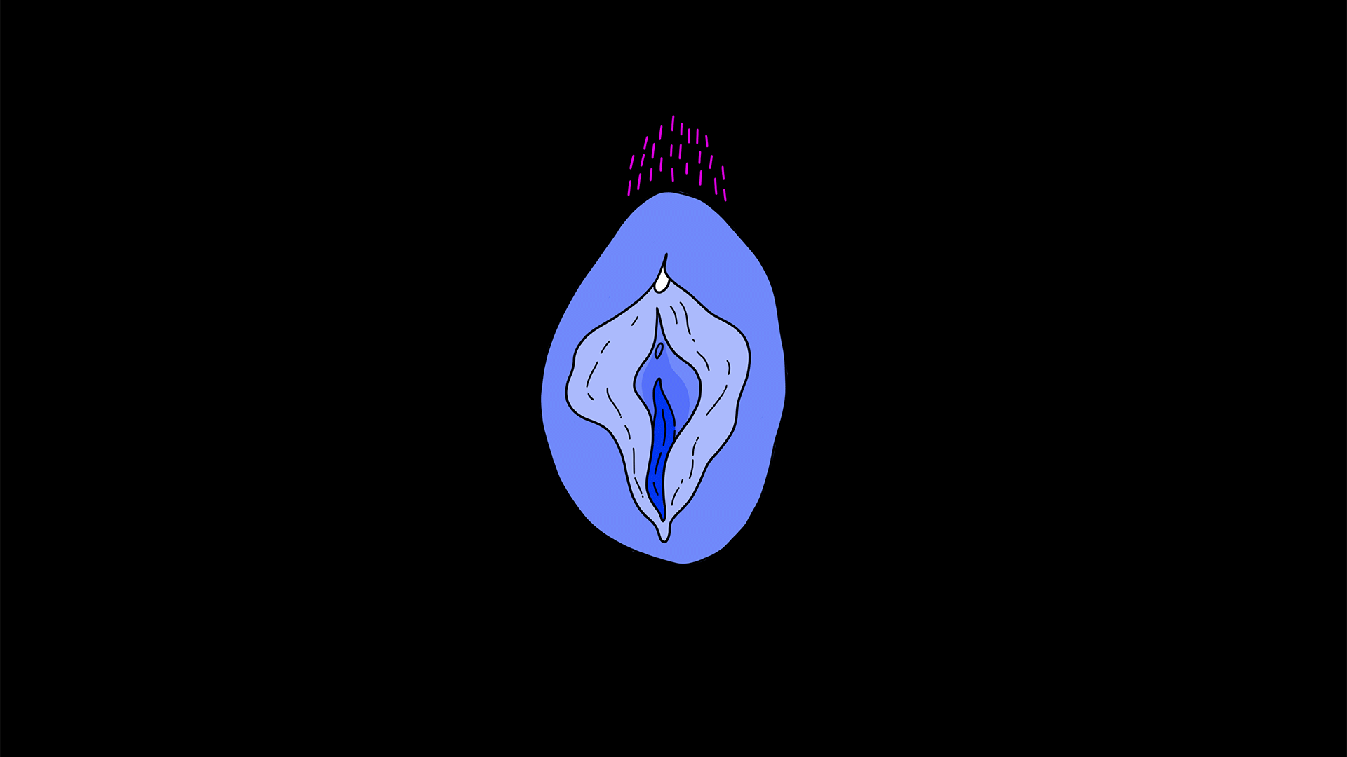 00000_vulvas_all_2.gif
