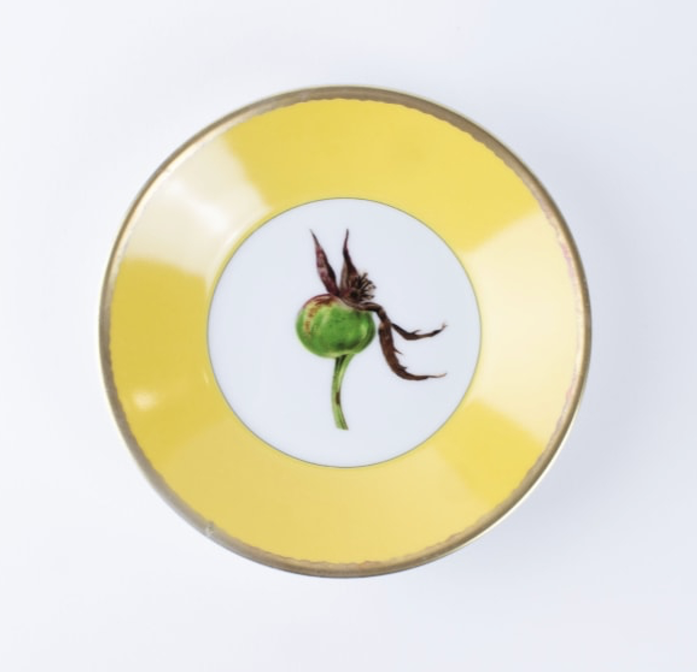 Tuscia's Roses: Tea Cup Saucer (Yellow)