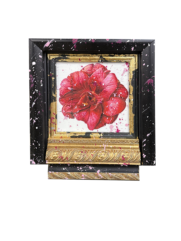 RED CAMELLIA BLACK FRAME