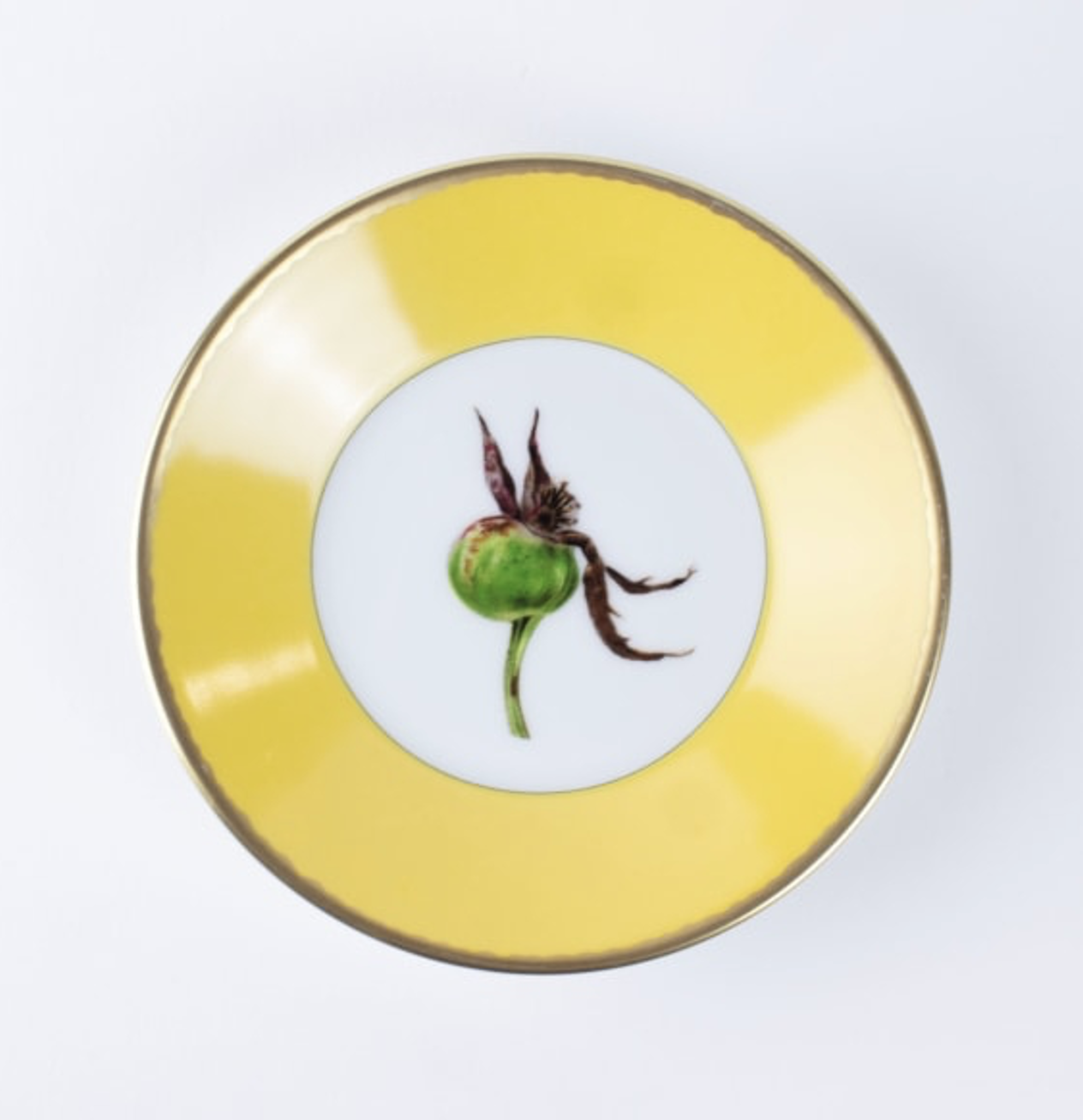 Tuscia's Roses: Tea Cup Saucer (Yellow)