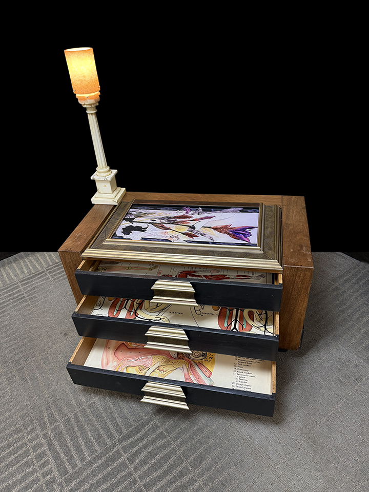 REFURBISHED ART CABINET COFFEE TABLE (Copy)