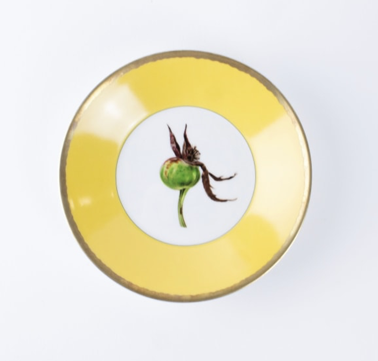 Tuscia's Roses: Tea Cup Saucer (Yellow)