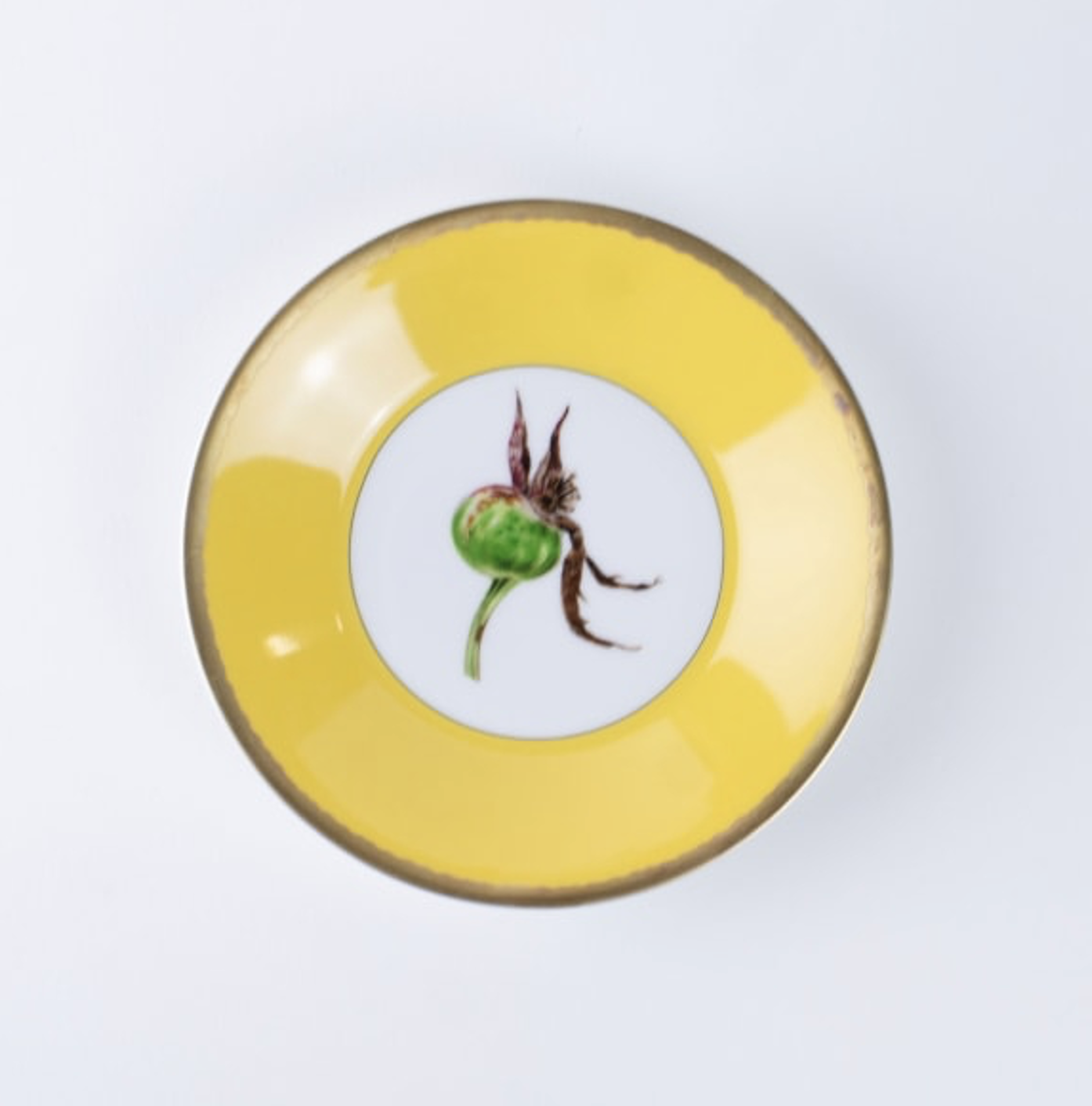 Tuscia's Roses: Tea Cup Saucer (Yellow)