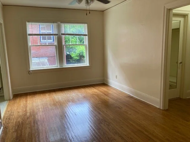 MC207 SMALL STUDIO living area.jpg