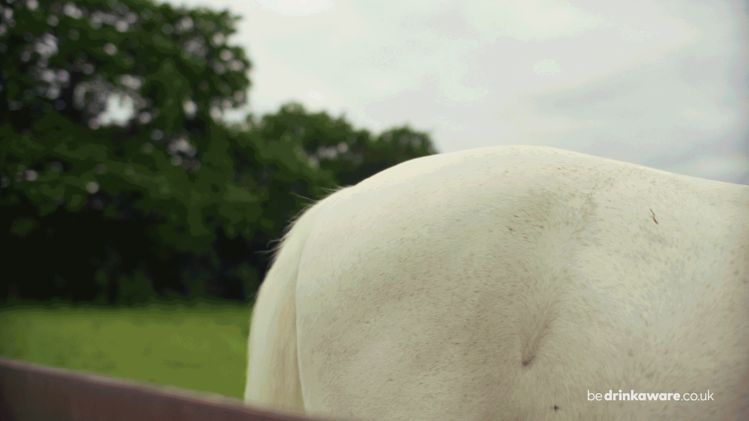 Peroni Nastro Azzurro