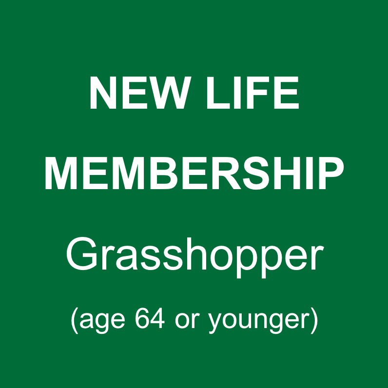 Grasshopper.png
