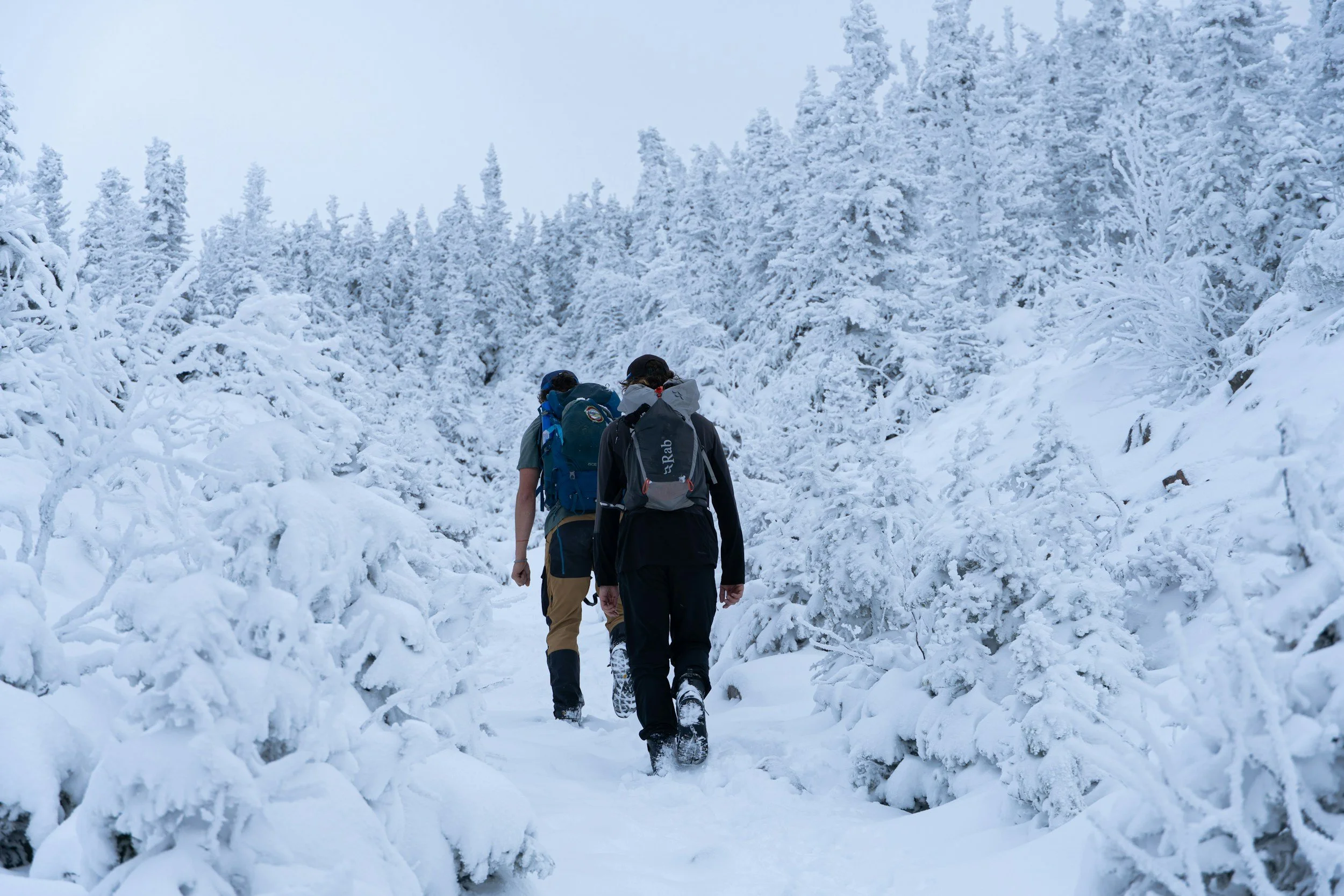 Two people with backpacks snowshoeing through a snow-covered forest.
